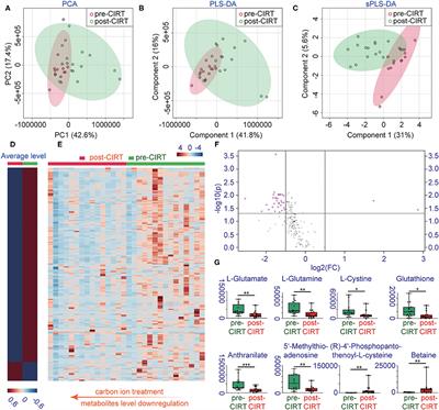 Carbon Ion Radiotherapy Evokes a Metabolic Reprogramming and Individualized Response in Prostate Cancer